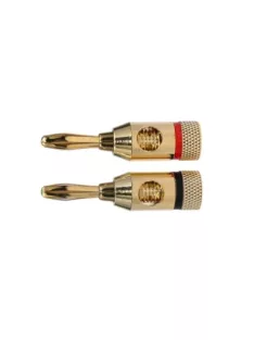 012-0140 Banándugó pár