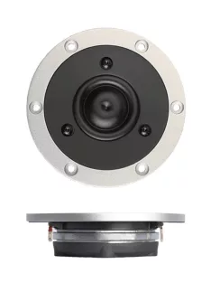 TW29RN ring dómsugárzó, 8 Ohm