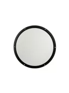 ASP250 Passive Radiator
