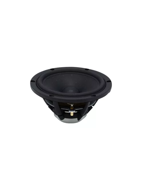 SB Acoustics ARA-Be White High-Gloss Complete Speaker Kit