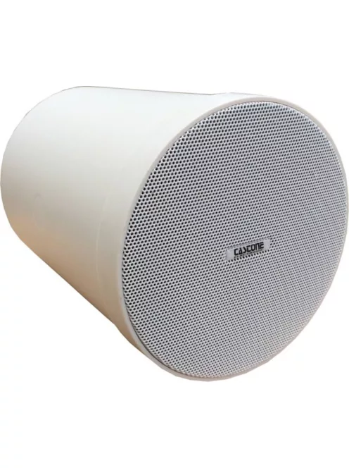 Castone CSL-308, függeszthető mennyezeti hangsugárzó