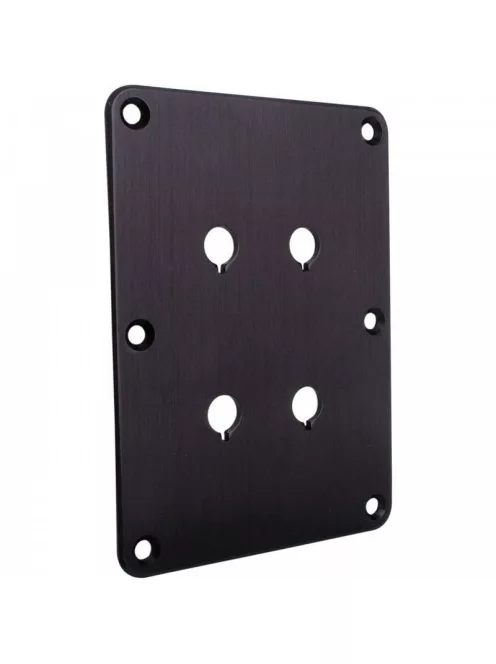 DBPP-BK Double Binding Post Plate Black Anodized