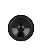 DS270-8 10" Designer Series Woofer Speaker