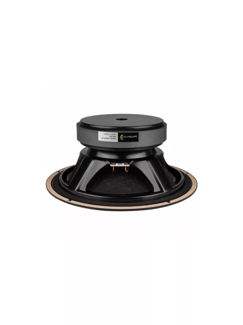 DS270-8 10" Designer Series Woofer Speaker