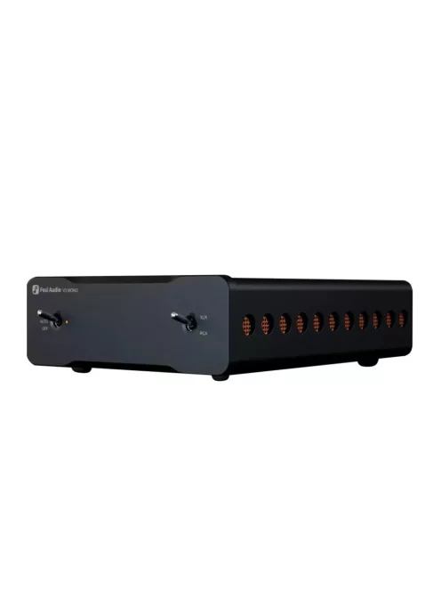 Fosi Audio V3 mono erősítő