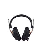 FOSTEX T20RP mk3