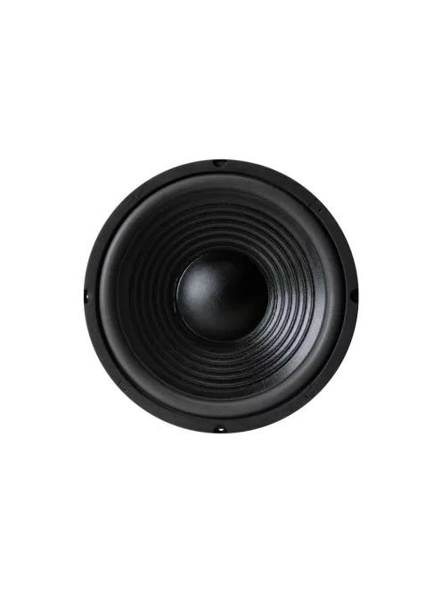 10PF-8 10" Paper Cone Foam Surround Woofer