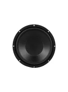 10SW-4 Subwoofer