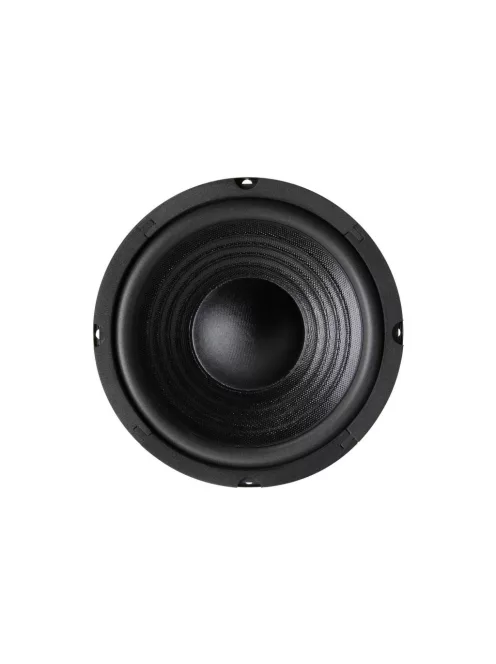 6PF-8 6-1/2" Paper Cone Foam Surround Woofer