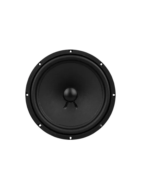 GRS A25-10 Replacement 10" Woofer for Dynaco A25 6 Ohm