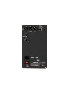 PWR-ICE250 2x250 Watt DSP ICEpower Plate Amplifier