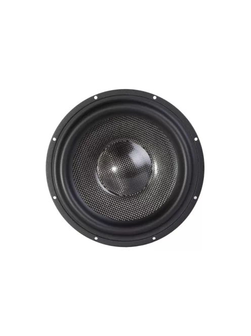 TSCW938 Subwoofer