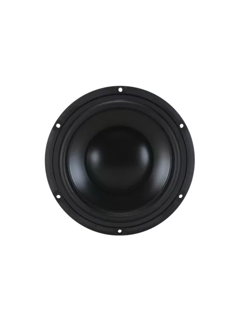 TiW 638Ft Titanium Series Ferrite 6" Woofer 8 Ohm