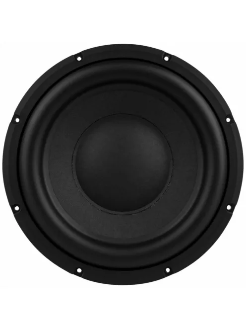 SDF-250F75PR01-06 10" Paper Cone Subwoofer