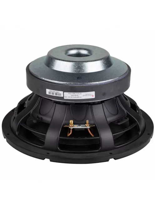 SDF-250F75PR01-06 10" Paper Cone Subwoofer