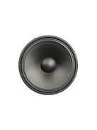 BIANCO-12OB150-01 Open Baffle Woofer
