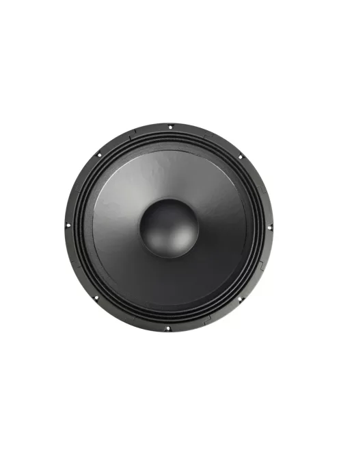 BIANCO-18SW450 Subwoofer