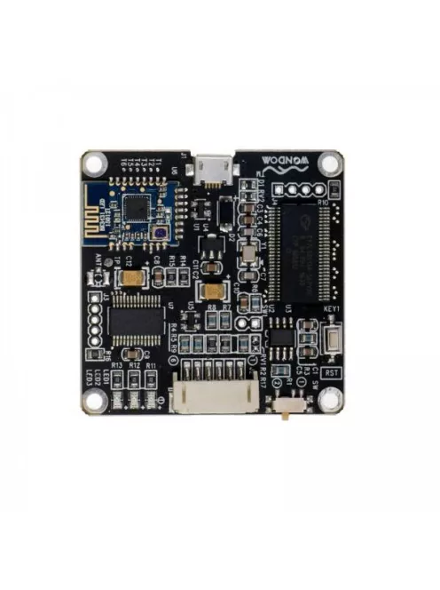 WONDOM In-circuit Programmer with BLE Bluetooth for APP control - ICP3