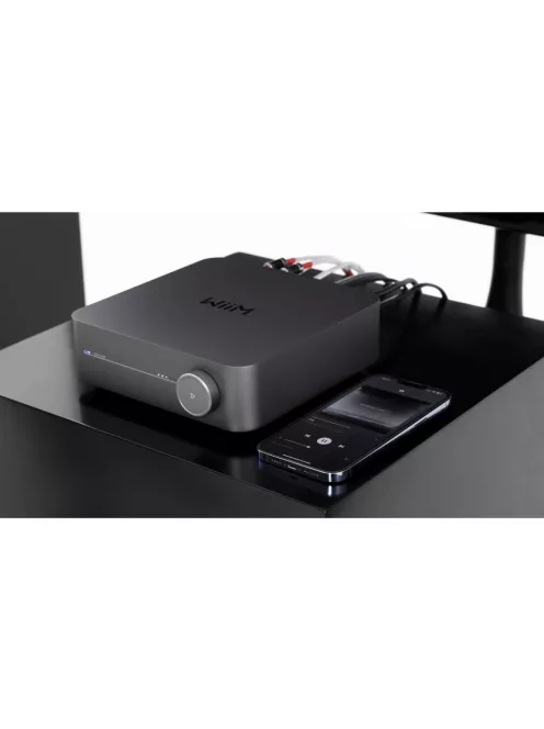 WiiM Amp Versatile Streaming Amplifier
