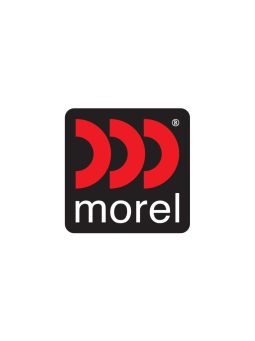 Morel